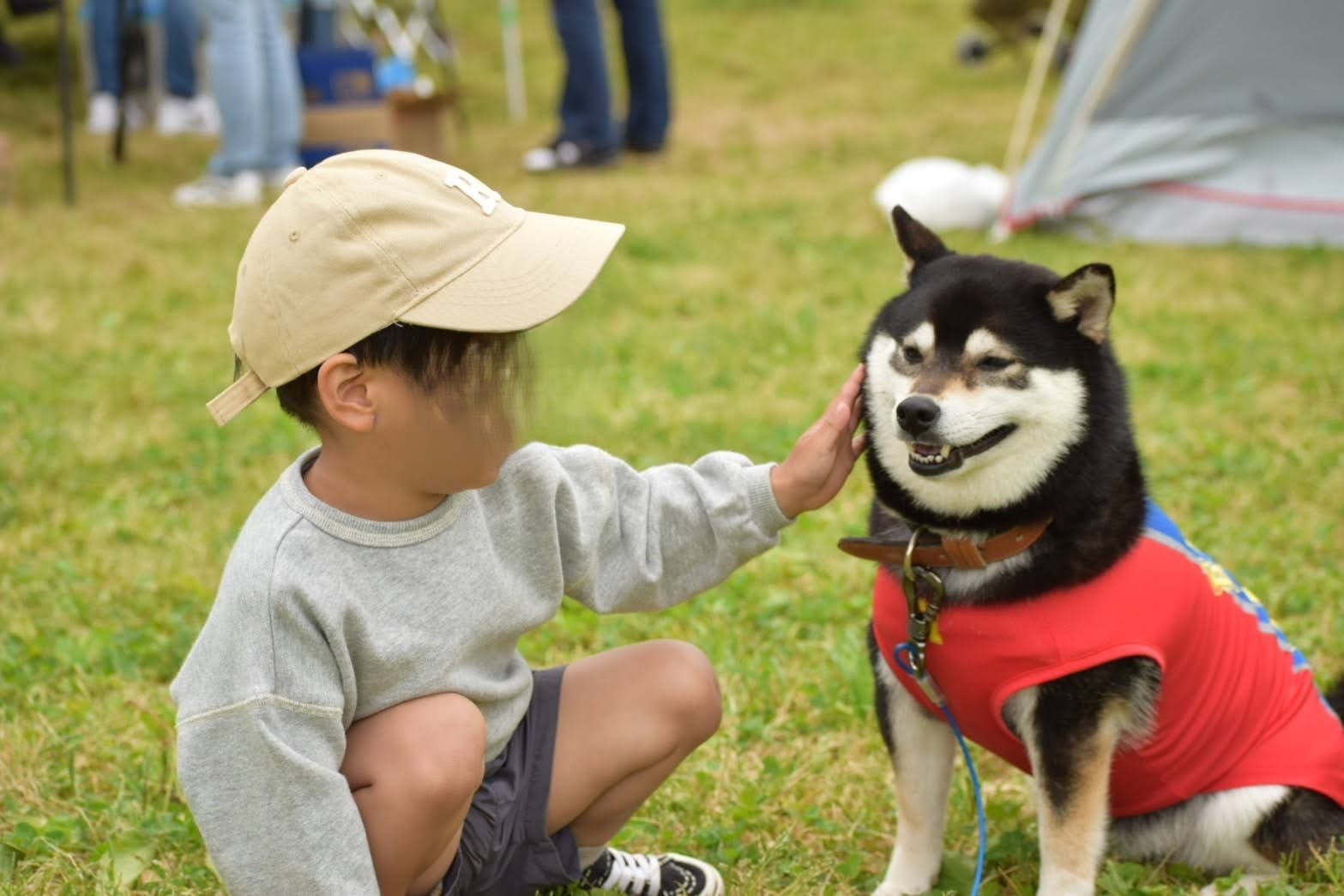 子どもが柴犬を撫でている